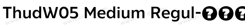 ThudW05 Medium Regul字体转换